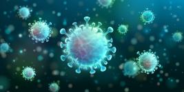 Coronavirus